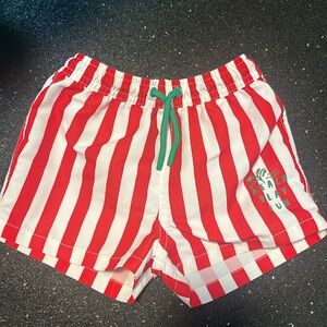 EUC Zara 2-3 Years Boys Swim Shorts